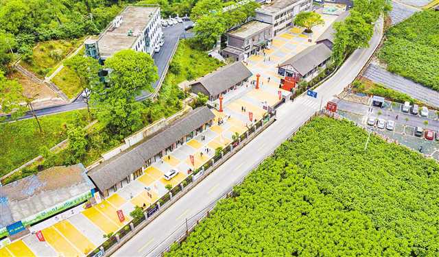 重慶市首條蠶桑特色産業街開街