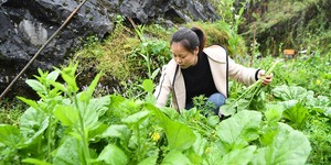 【簽山城故事】重慶：犟媳婦深山紮根記