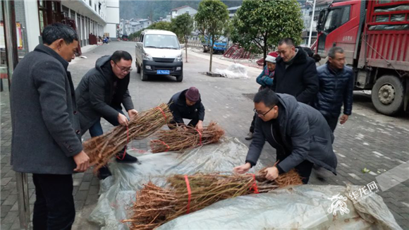 【區縣】退出貧困縣序列 巫溪脫貧攻堅的破題之“道”