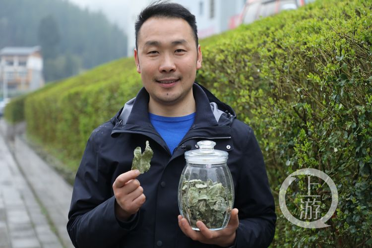 【聚焦重慶】脫貧攻堅十八般武藝2丨貧困山村 “點木成金”