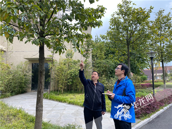 【滾動】【區縣聯動】重慶南川有座“川渝共建實驗室”讓“山珍”變成搖錢樹