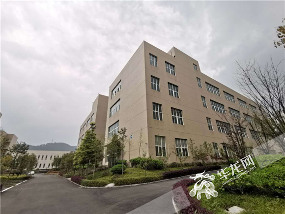 【滾動】【區縣聯動】重慶南川有座“川渝共建實驗室”讓“山珍”變成搖錢樹