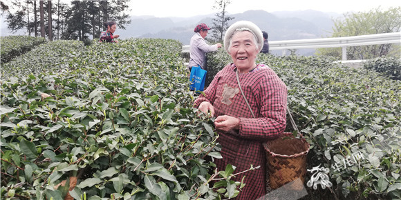 【區縣】重慶武隆：一條路的延伸 大山深處有了盼頭
