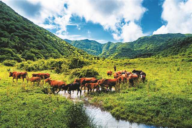 【焦點圖】重慶豐都：名山名水 豐收之都