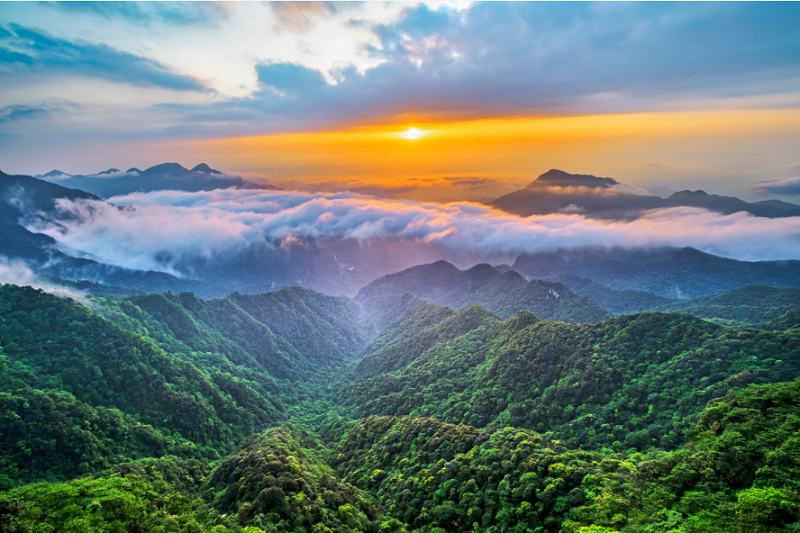 【轉載】世界遺産名山（金佛山）峰會期間 金佛山免費遊