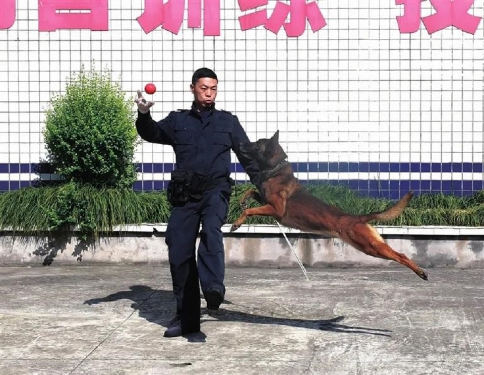 這支民警和警犬組成的警隊是公安部先進集體_fororder_2