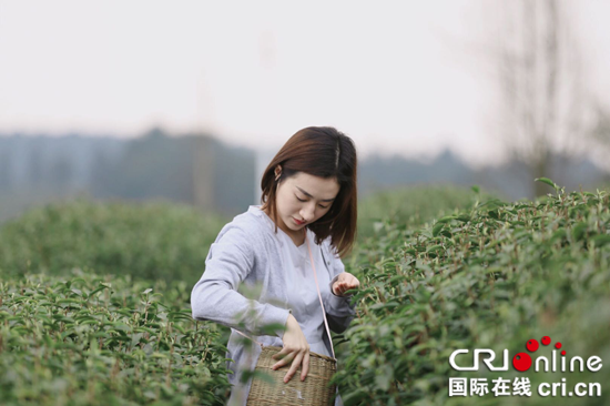 【CRI專稿 列表】重慶巴南市級“非遺”傳承人劉觀祿：讓巴茶香滿世界