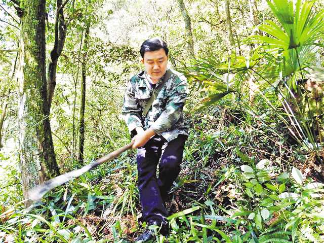 【見證70年 重慶故事　人物故事 圖文摘要】重慶四面山上兩父子 接力巡山半世紀