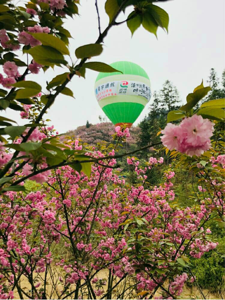 【區縣】重慶巴南區：”醉美是家鄉”讓你處處”打卡”樂而忘歸