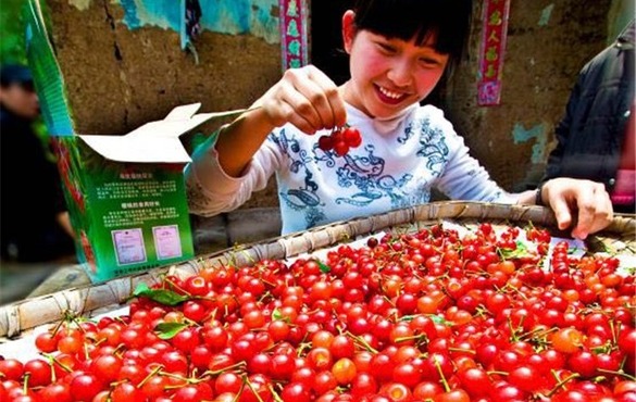 【區縣】重慶巴南區：22個鎮街負責人當主播 帶你嘗美食買“土貨”