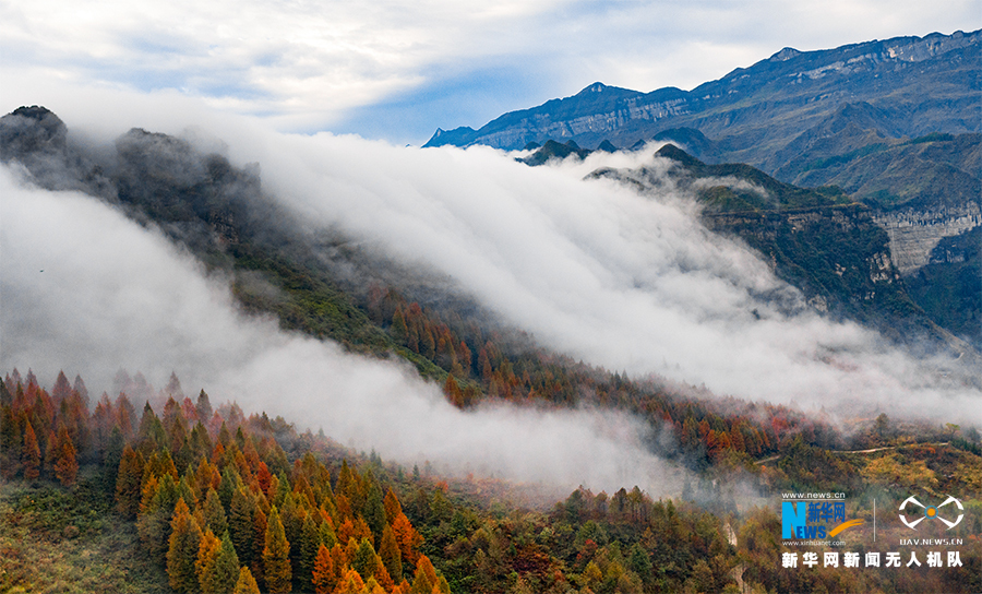 【城市遠洋】重慶：初冬金佛山現雲瀑奇觀