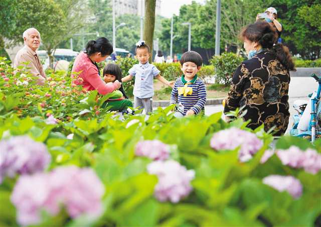 【城市遠洋】【焦點圖】重慶北碚建成14個微型綠地