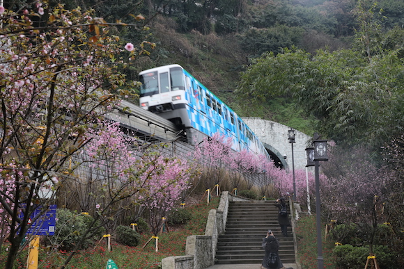 圖片默認標題_fororder_828819df-b1b8-4043-9036-434cc0fd83cd
