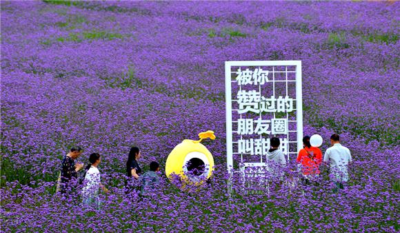 圖片默認標題_fororder_新聞3