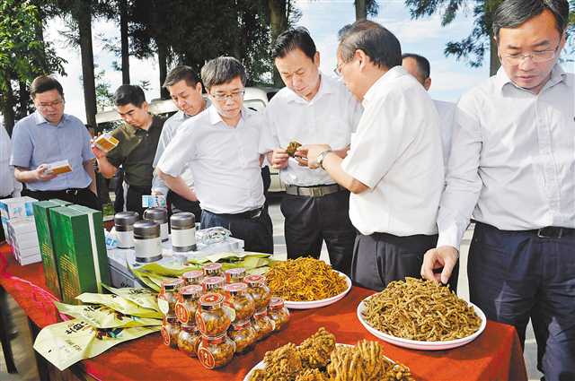 【滾動】【滾動新聞】重慶開展“不忘初心、牢記使命”主題教育集體調研紀實