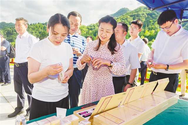 【滾動】【滾動新聞】重慶開展“不忘初心、牢記使命”主題教育集體調研紀實