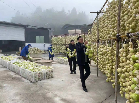 【原創】重慶銅梁白羊鎮：現代化鹹菜加工廠投用 鄉村振興走上“快車道”_fororder_微信圖片_20220124104929