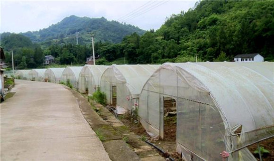 圖片默認標題_fororder_919aecde-0a2e-40d8-9e63-9d9800e0328e