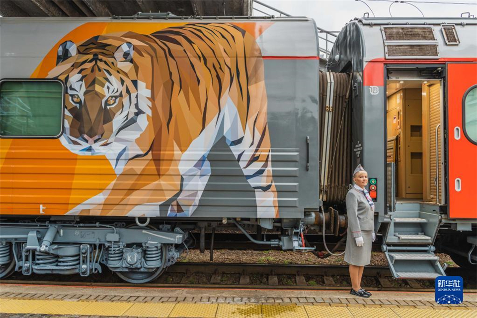 俄羅斯：老虎主題列車亮相_fororder_1