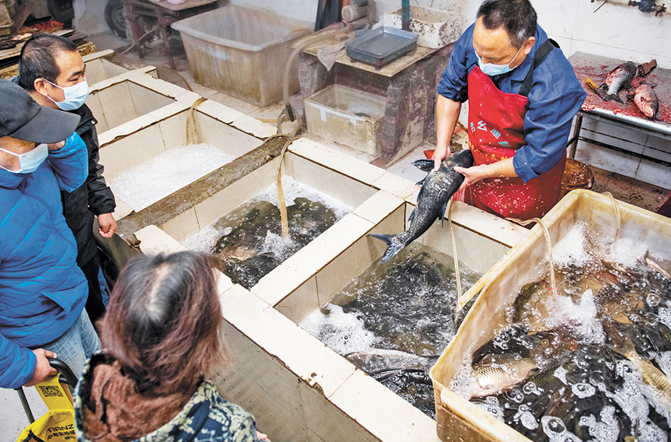 【城市遠洋】重慶消費市場重現“煙火氣”