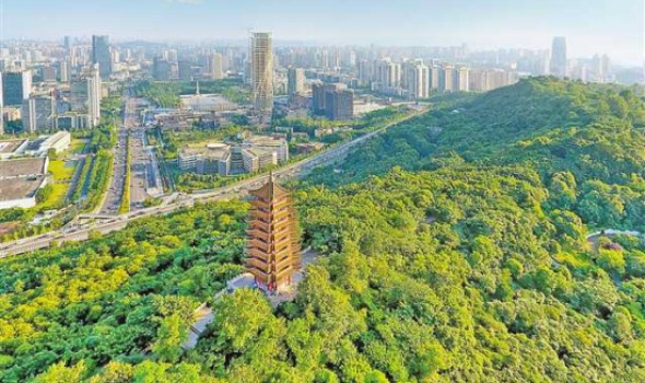 圖片默認標題