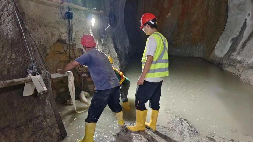 【轉載】頻接國際“訂單” 重慶水電人才走出國門