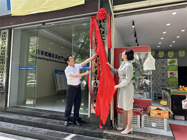 重慶市武隆區農村産權流轉服務中心正式掛牌運營_fororder_圖片1