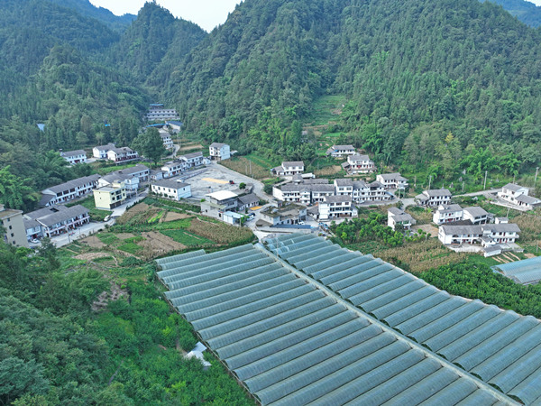 重慶彭水：庭院經濟美了鄉村富了村民_fororder_1