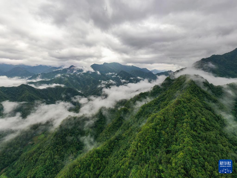 重慶城口：雲霧繚繞大巴山