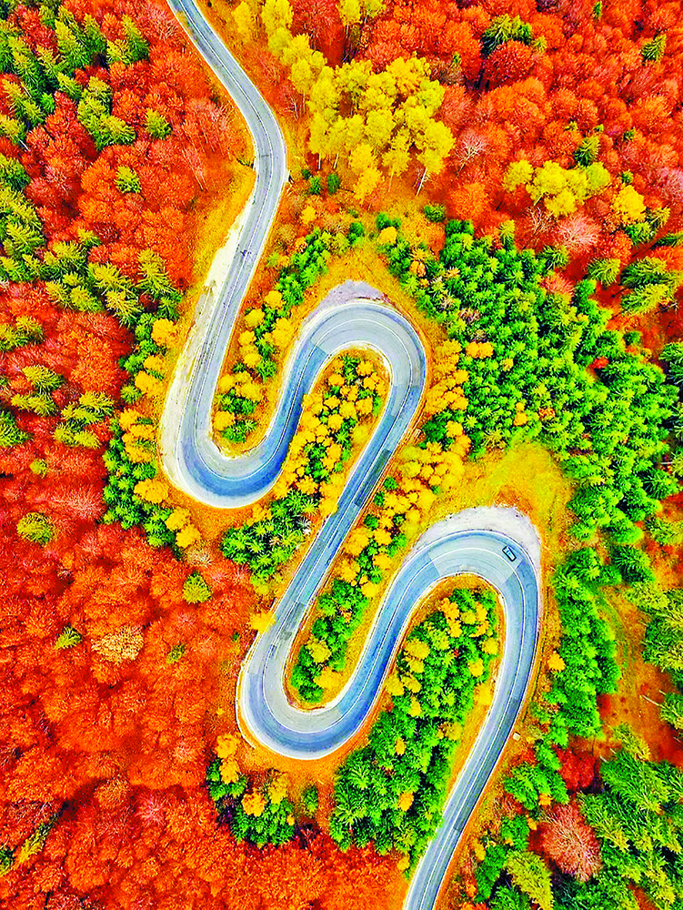 重慶巫溪紅池壩： 層林盡染秋色濃