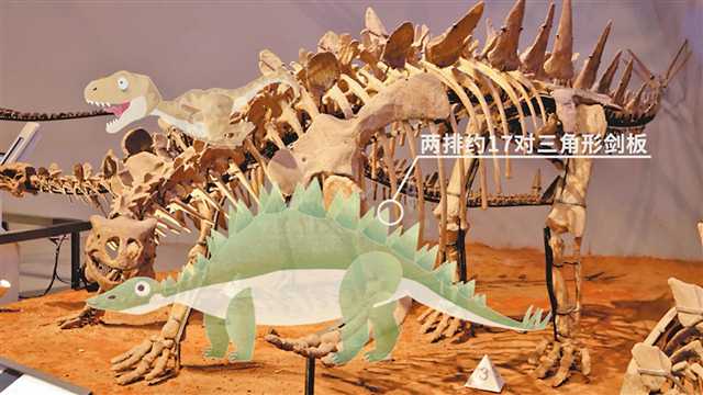 AR技術“復活”60余件珍貴化石標本 重慶自然博物館將再現重慶恐龍故事及非洲動物大遷徙場景