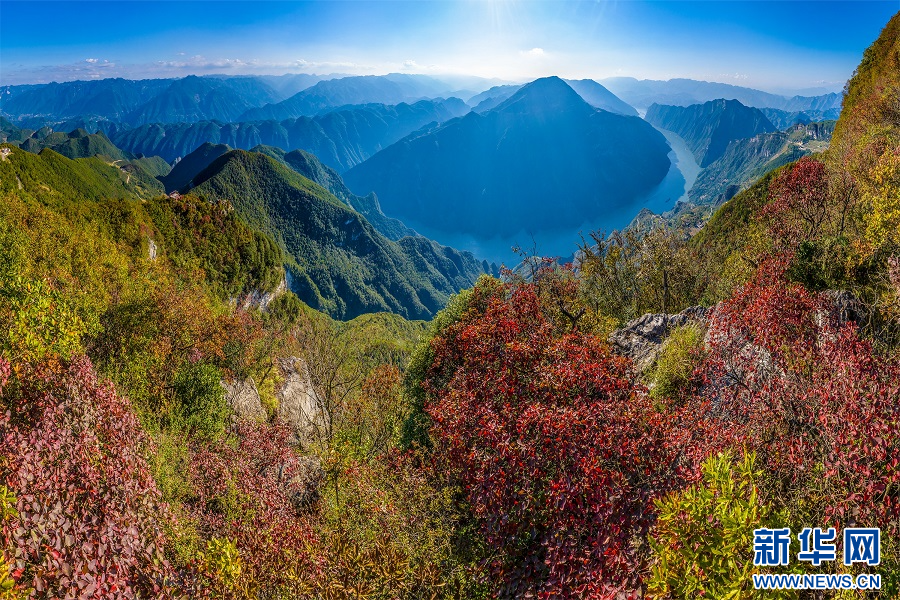 重慶巫山：雲生峽江 秋葉漸紅