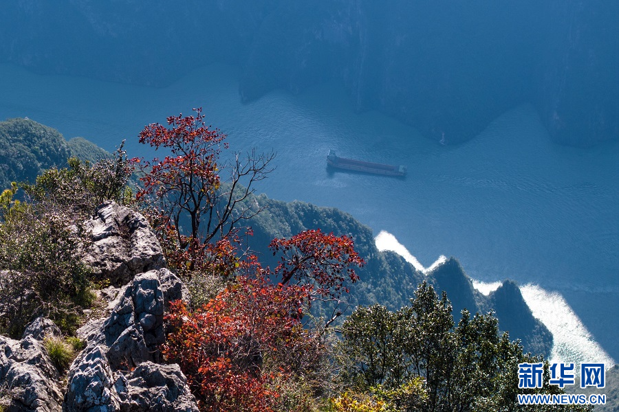 重慶巫山：雲生峽江 秋葉漸紅