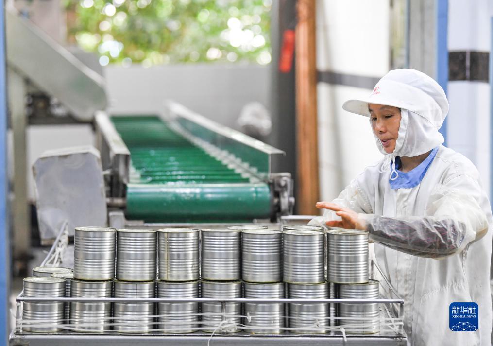 綜述：重慶企業組團出海加強與墨西哥經貿往來