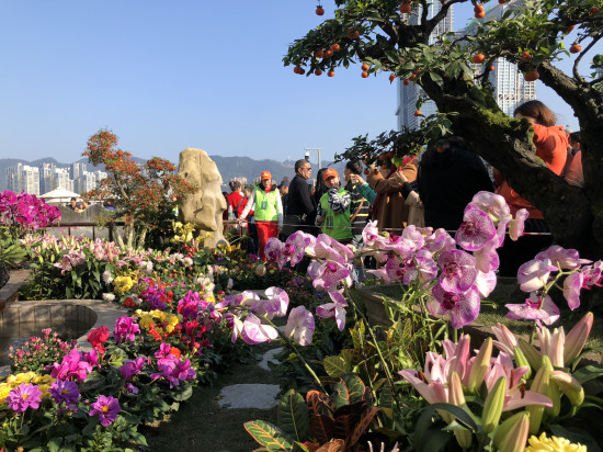 【CRI專稿 列表】第二屆長江上游城市花卉藝術博覽會即將在渝啟幕【內容頁標題】助力城市品質提升 第二屆長江上游城市花卉藝術博覽會即將在渝啟幕