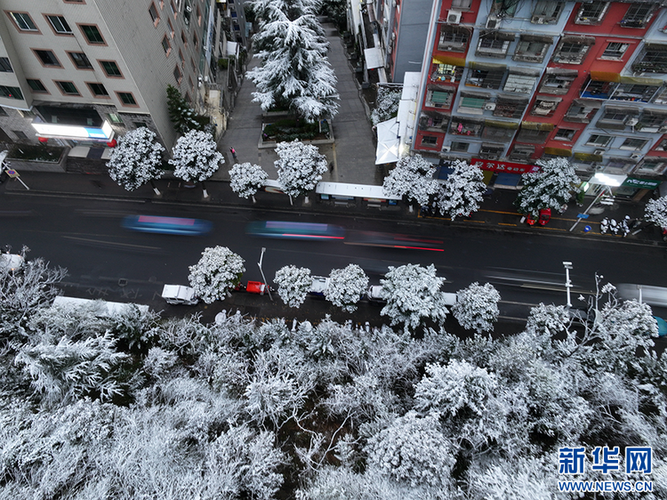 瞰！三峽春雪
