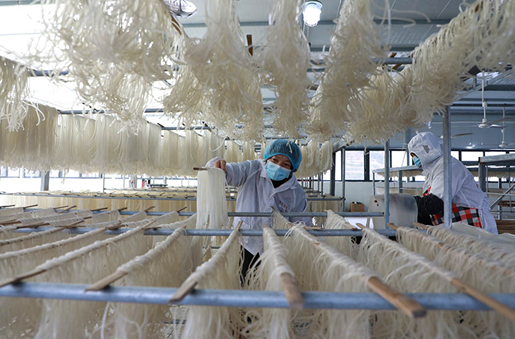 重慶彭水：鄉村“微工廠” 苕粉生産忙_fororder_微信圖片_20240315155420