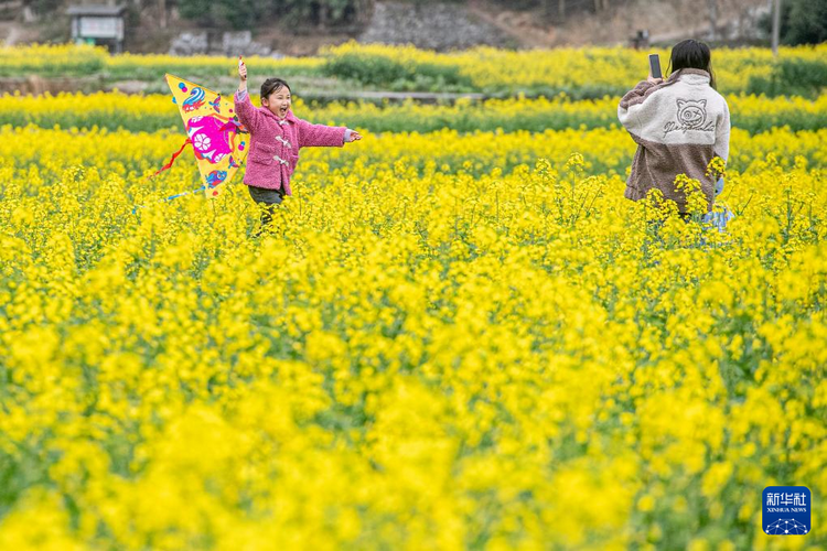 重慶彭水：苗鄉油菜花綻放
