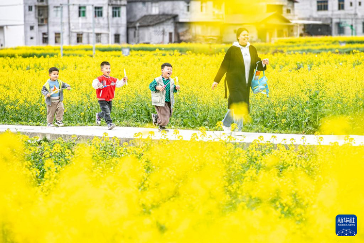 重慶彭水：苗鄉油菜花綻放