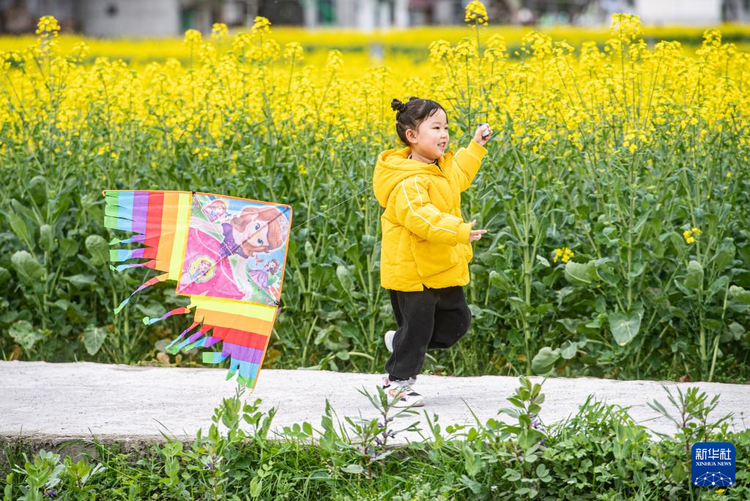 重慶彭水：苗鄉油菜花綻放