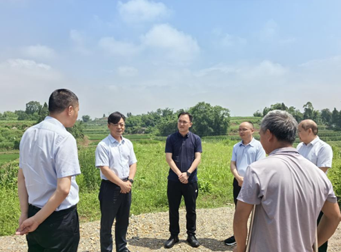 重慶大足區人大常委會副主任印國建帶隊前往萬古鎮調研_fororder_微信圖片_20240617172154