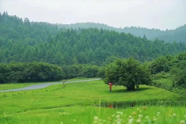 上山避暑一站直達！重慶開通多趟“清涼”旅遊直通車