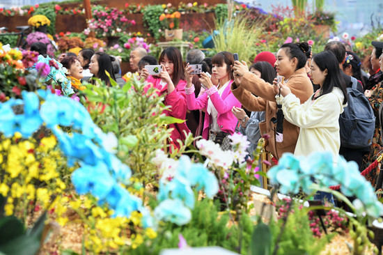 【聚焦重慶】花博會余溫未減 市民賞花展笑顏