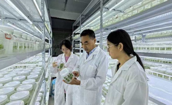 農業科技追夢人陳貴虎：培育重慶銅梁人自己的農業“晶片”_fororder_微信圖片_20240802150429