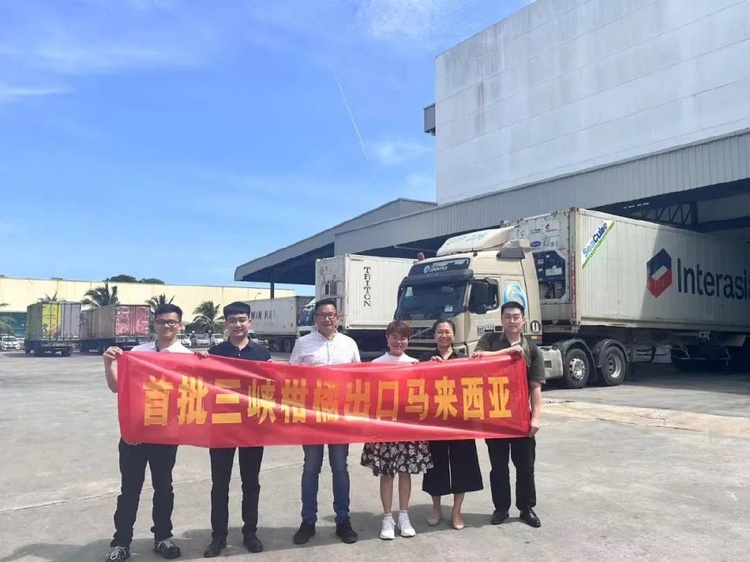 重慶：“三峽柑橘”加速“出海” 100噸雲陽臍橙運抵馬來西亞