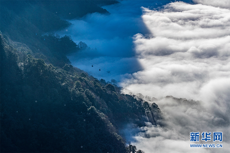重慶金佛山現雲海景觀 場面壯觀