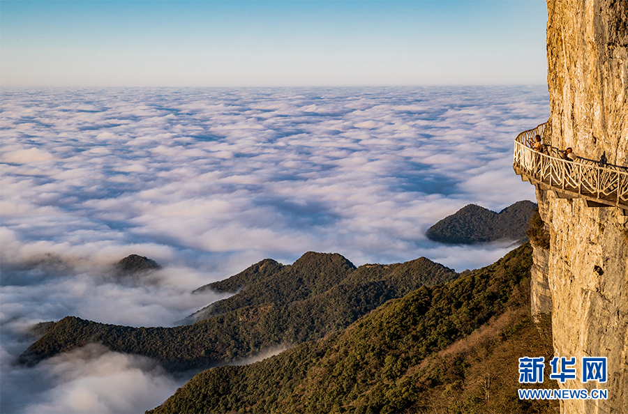 重慶金佛山現雲海景觀 場面壯觀