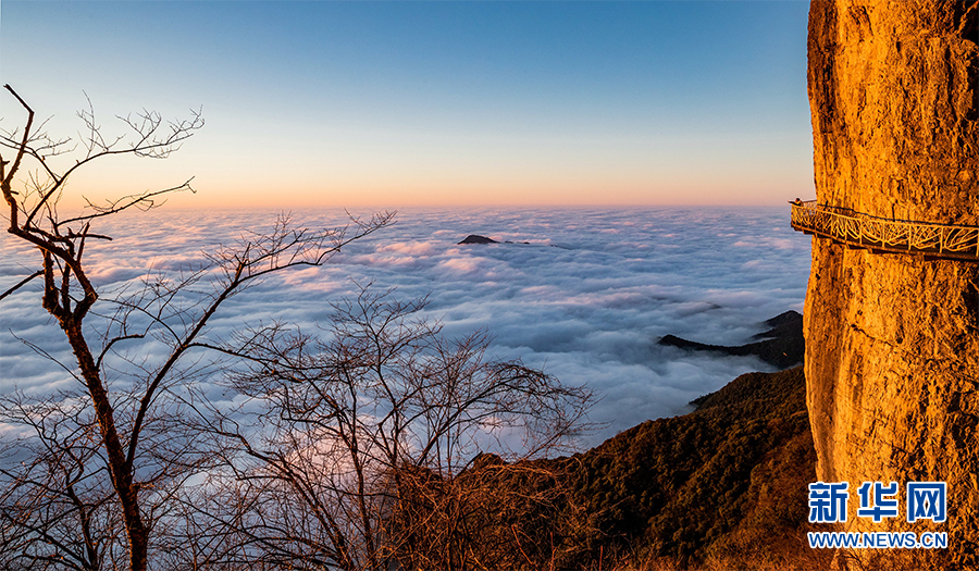 重慶金佛山現雲海景觀 場面壯觀