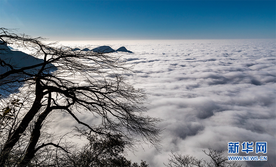 重慶金佛山現雲海景觀 場面壯觀