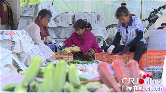 【區縣聯動】【大足】重慶大足回龍鎮：探索産業發展新途徑【內容頁標題】重慶大足區回龍鎮：企業主探索産業發展新途徑 帶領村民共同致富